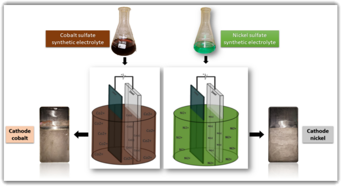 12666_2021_2457_Figa_HTML