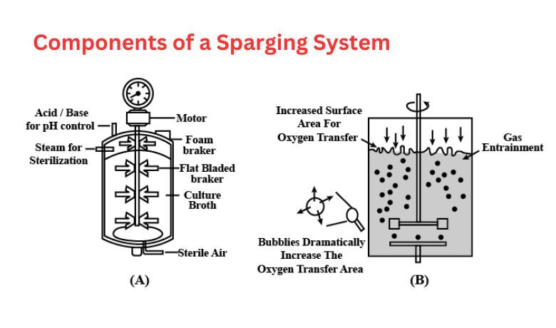 Components-of-a-Sparging-System