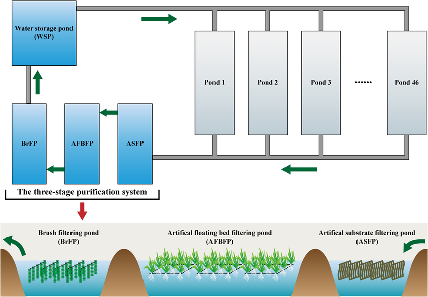 Water-treatment-process-in-the-field-scale-aquaculture-wastewater-treatment-system
