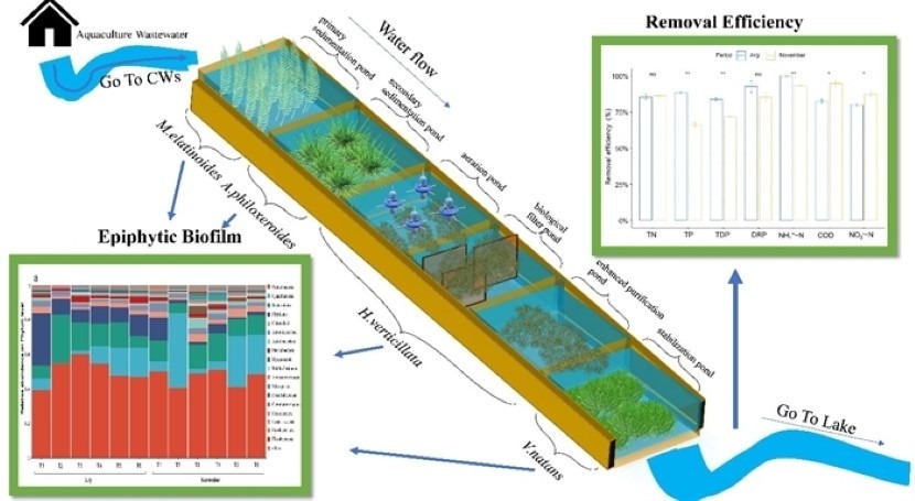 news._chinese_academi_sciences._image